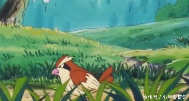 地区的家门|神奇宝贝种族值最低的十种飞行系宝可梦,小智大部分都有