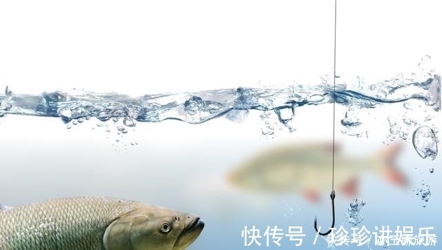 要点|钓鱼可能从来没有想过认真分析这两点,这才是夏季获鱼的要点所在