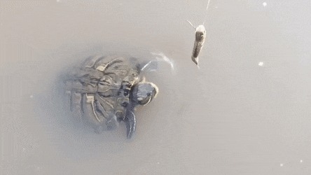 |搞笑GIF:美女这表情真是丰富啊,不去当演员亏了啊