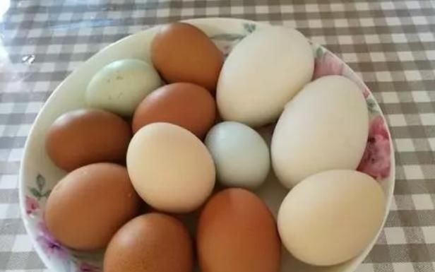 水煮鸡蛋|鹅蛋，鸡蛋，鸭蛋，哪一个营养价值高？希望大家不要吃错