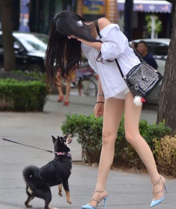 美女|美女街上调戏“小奶狗”,路人被深深喂了一把狗粮,网友让我来