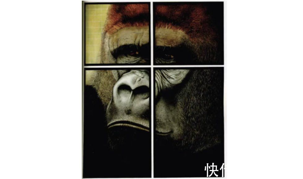 图画@如果让孩子们自己说,他们会如何点评图画书?