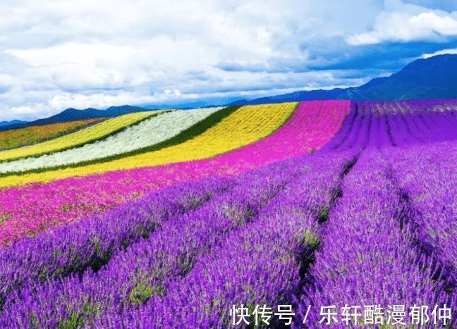 身边人|半个月后,4个星座,找回梦想,重拾自信,工作顺利,家庭美满