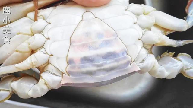 九雌十雄|梭子蟹不会挑鱼贩教你挑蟹小技巧，保证新鲜肉肥，一挑一个准