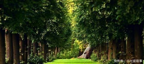 门泊东吴万里船!杜甫52岁写下一首诗,短短28字流传千年,小学生必背