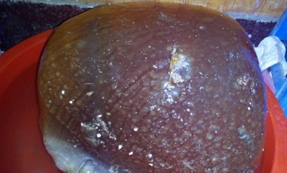 大呼|男子捡到软石头,爷爷见后大呼作孽,网友:祝你好运