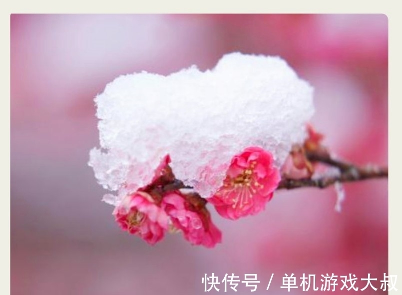 胭脂铅粉#明冬素润,千山暮雪,护月云轻,嫩冰犹薄