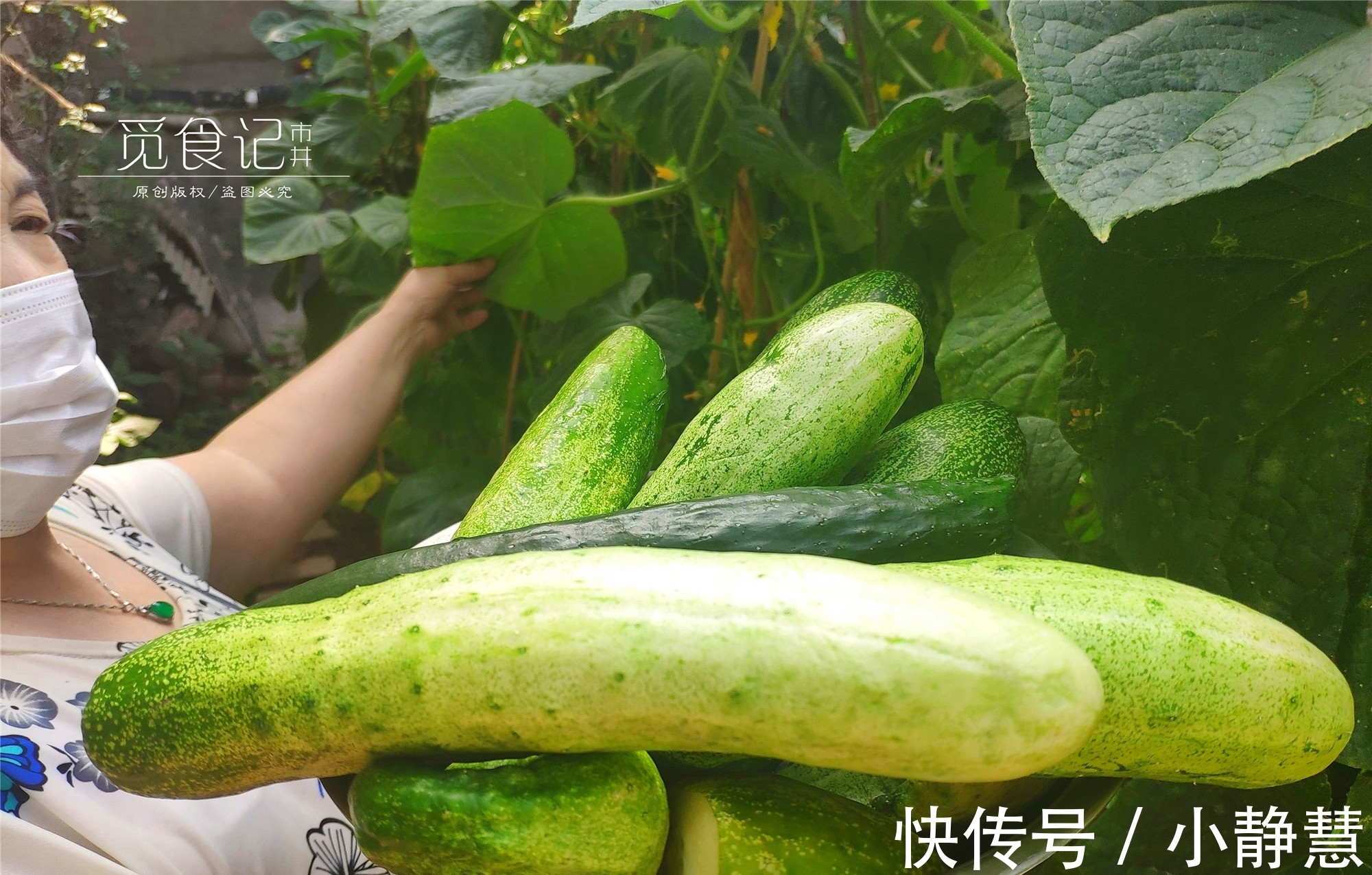 爽脆|奶奶用了30多年的腌黄瓜配方,一次腌20斤,嘎嘣脆,咸香特好吃