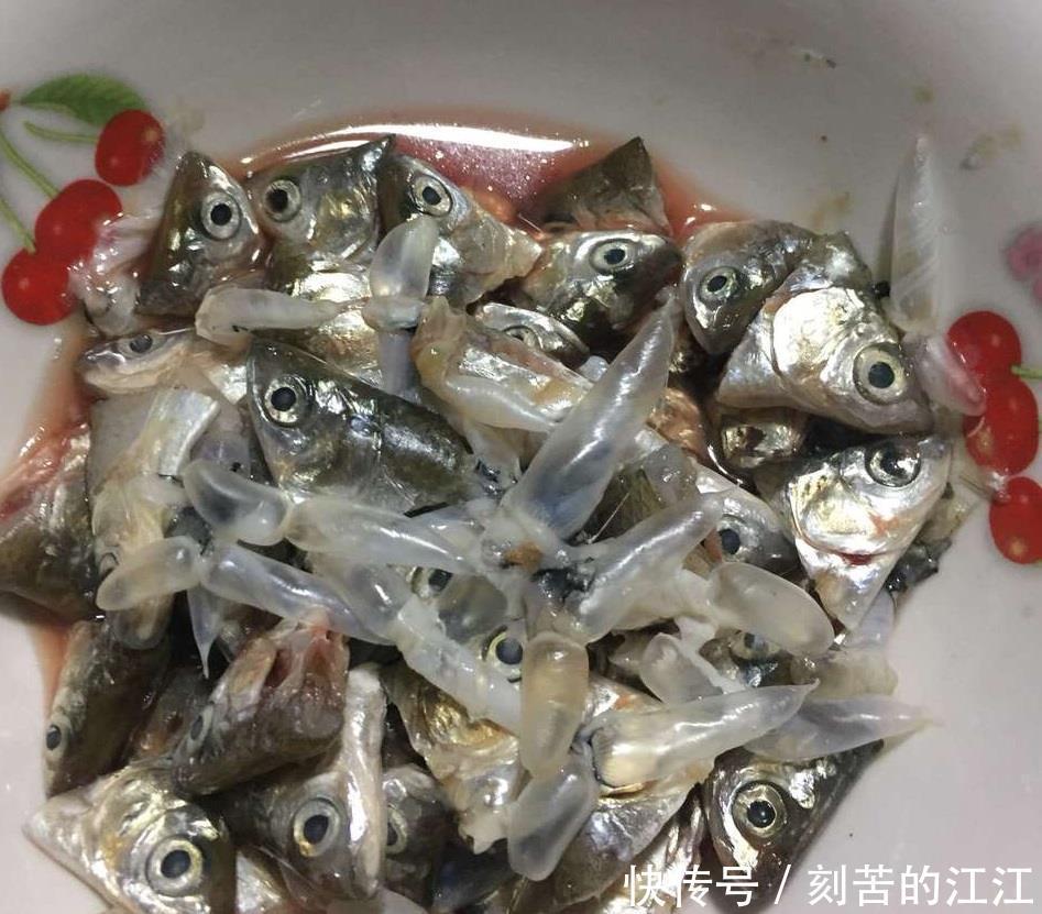 吴大爷养“月季”,三月喂点“零食”,花朵嗖嗖冒,1年开不停