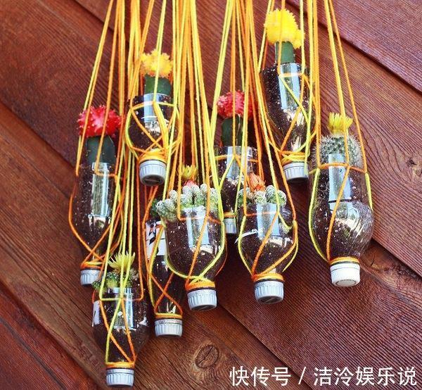 多肉|矿泉水瓶有“大作用”，10个“用法”最经典，可以种豆芽、养花