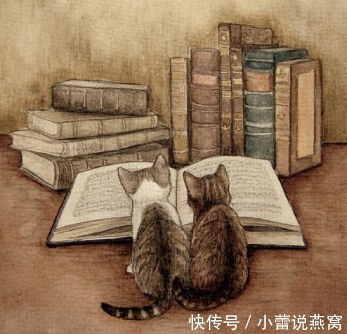 培训班|孕期如何打发时间,丰富生活