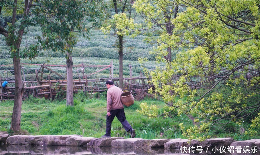 木棉|杭州的春天也太早了，来茅家埠赏风景挖野菜，寻找春天的气息