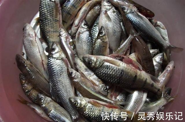 大排档|回老家,老公请同学来家吃夜宵,我做了6个下酒菜,3箱啤酒喝精光