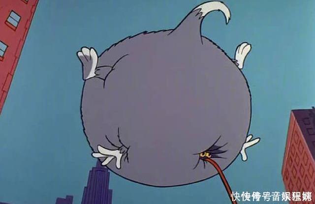 小时候看猫和老鼠以为是搞笑的,长大了才知道这些都是真的