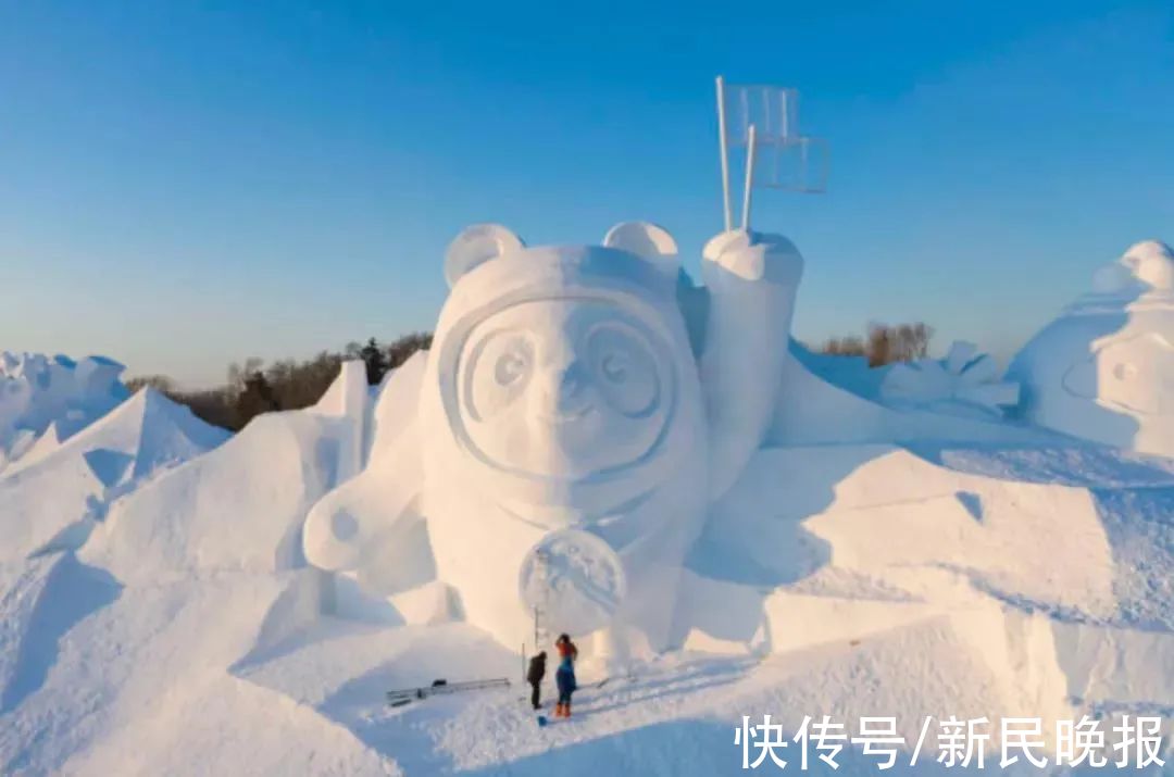 上海体育学院|“冰墩墩”太火了！沪上“一墩难求”！抢不到的网友，花样解决了这个问题