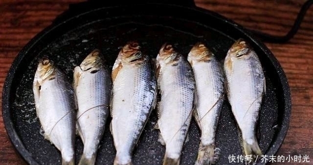 a23|它是被“误解”最多的鱼,一斤只要10元,营养价值不比甲鱼差