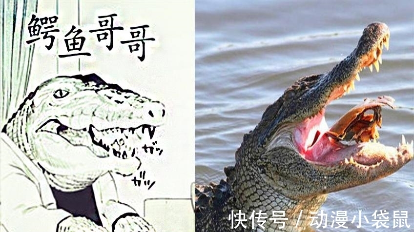 漫画|治愈过头的“德国骨科”,哥哥惨被变成鳄鱼,妹妹依旧不离不弃!