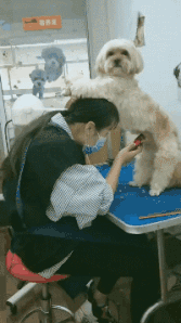 |搞笑GIF:刚娶回来的媳妇儿 衣服还没换就暴露了