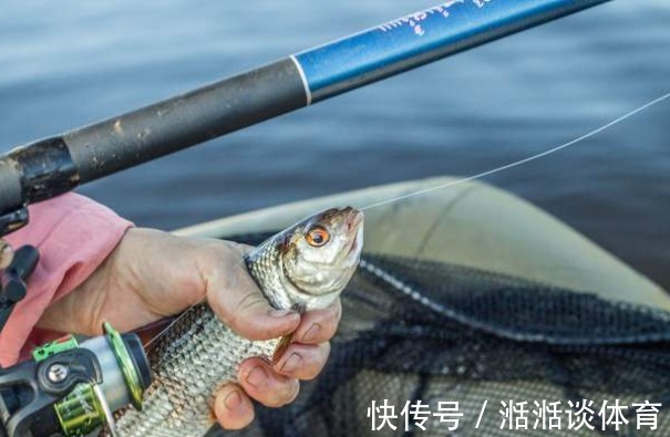 “泥鳅钓鱼”为何人人喊打？3天钓空水库，比电鱼危害还大？