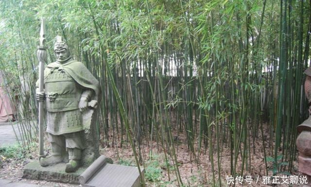 重用|此人勇猛程度媲美吕布,刘备却不敢重用,其死后蜀汉无法统一天下