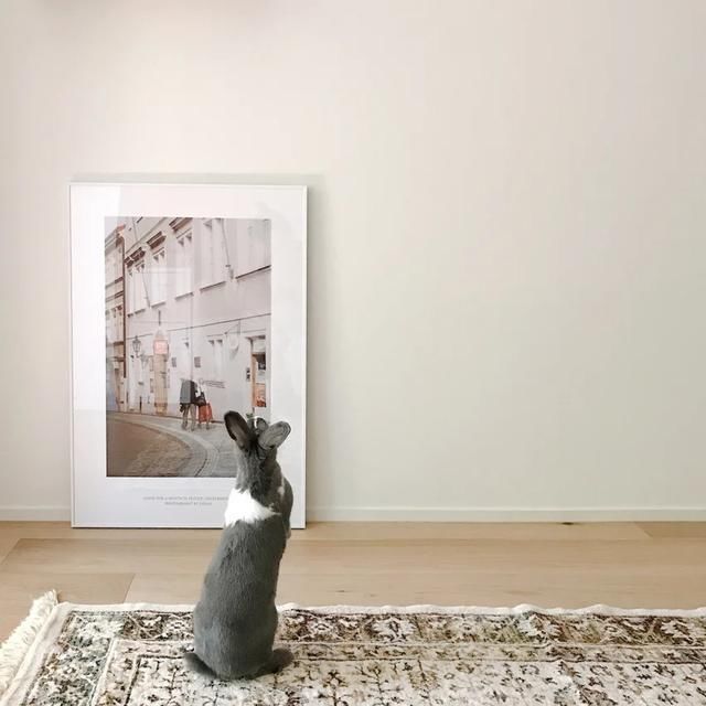 温馨|70平二手房,收纳堪当教科书,入住后温馨整洁都忍不住夸2句好