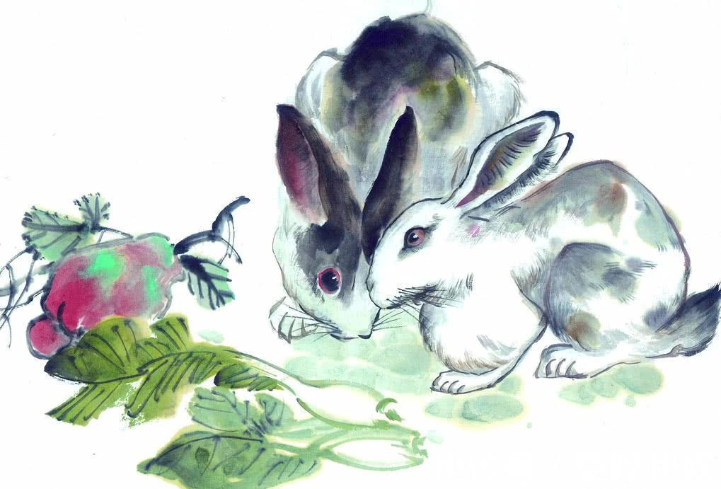 生肖|有情有义的4个生肖,为人善良,一生知己朋友多!