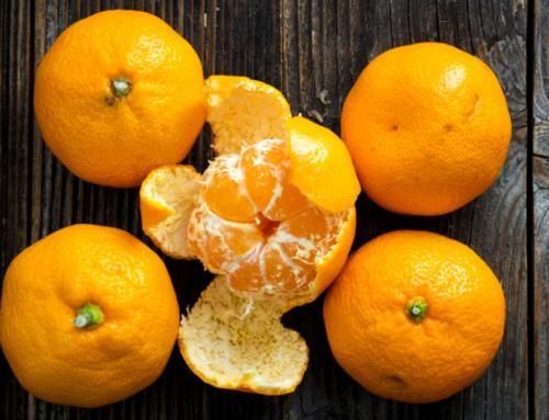 皮油|橘子皮别再丢了,睡前贴肚脐上,坚持半月,身体悄悄发生大变化!