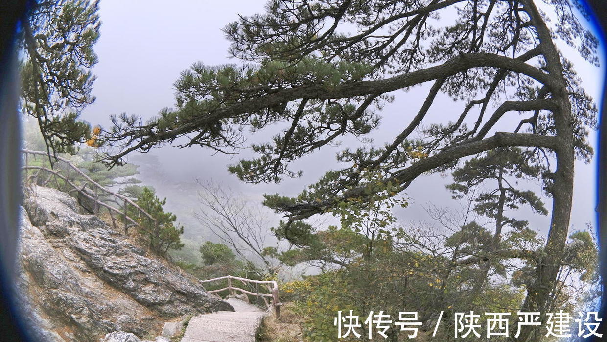 黄山|薄云浓雾游黄山宛若仙境【严建设】