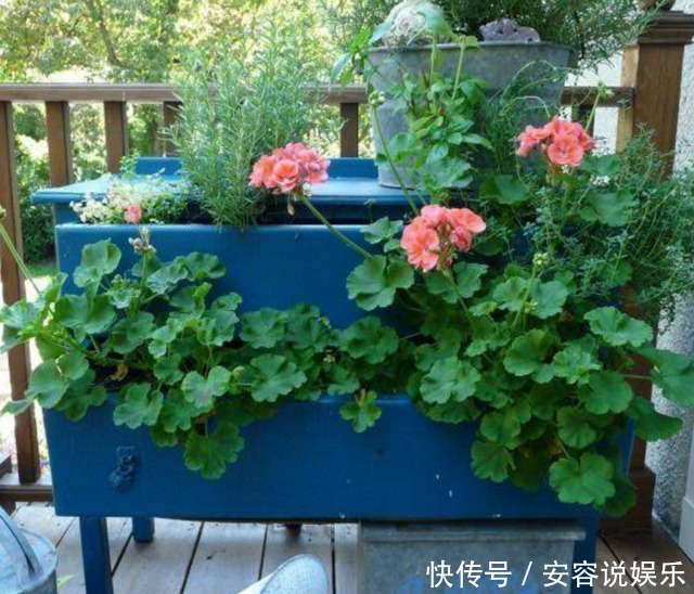 老婆用家里的废弃家具种花，朋友看到惊呆了