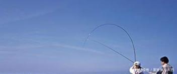 自从有了这鲫鱼钓技钓法以及鱼饵小药秘诀,天气再冷也能狂拉不断