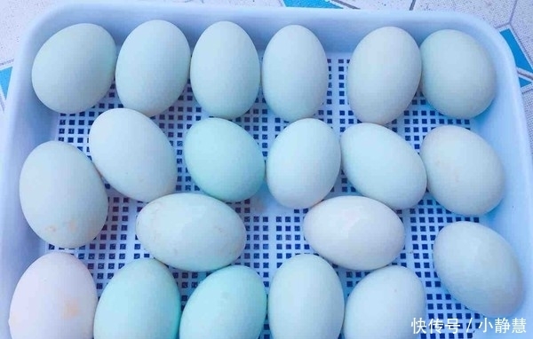 咸鸭蛋自己在家就可以做!配方和比例教给你,干净又好吃!