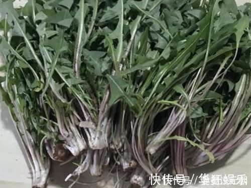 玉米|天然的“强肝剂”找到了,坚持每天吃,养肝排毒,肝脏越来越好