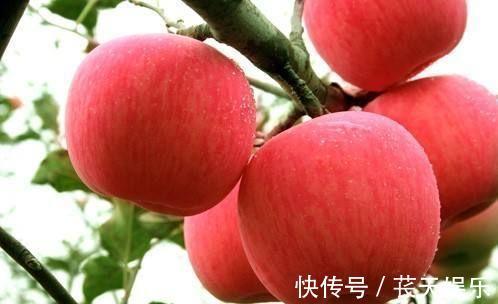 健胃消食|对身体最好的3种食物,每天吃点,健胃消食,降压减脂,滋补身体