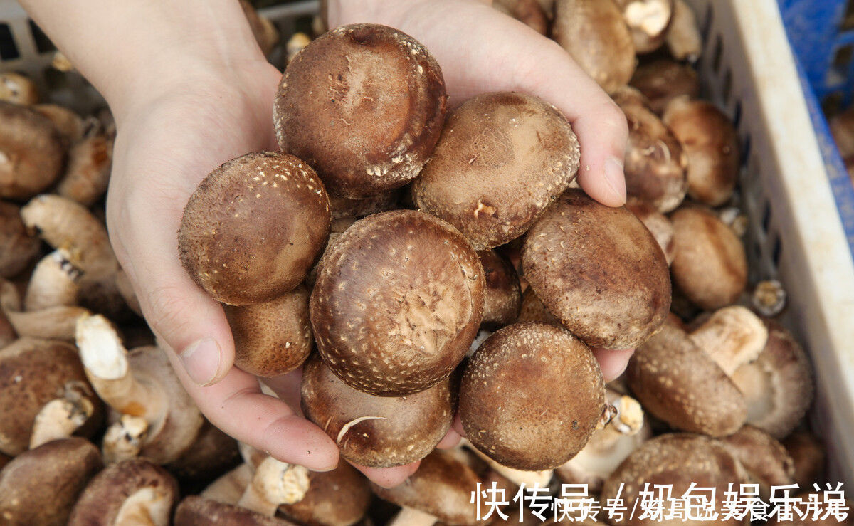 维d|买香菇,挑大的还是小的?牢记“3买3不买”,谁也不敢忽悠你