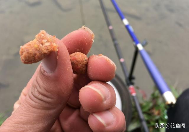 饵料|揭秘钓鱼骗局！别看它骗术低级，总有大把钓鱼人上当