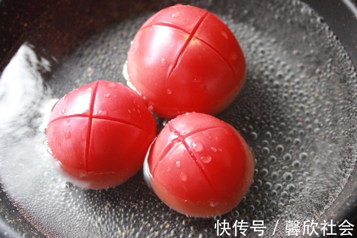 大人|番茄炒蛋时加入虾仁，味道更鲜美，营养更丰富，大人孩子都爱吃