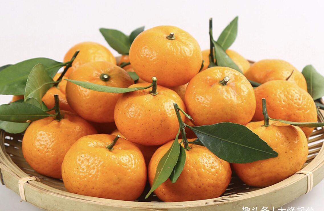 砂糖橘|冬季,有6种“时令水果”放开吃,应季新鲜维C多,走俏市场正便宜