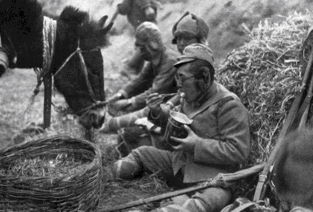 兵藏|日本兵藏在炮楼里,苏军久攻不下,我国1老农民路过:我有办法!