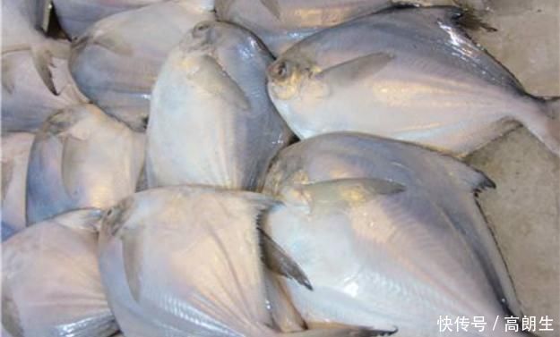 这些鱼都是地地道道的海鱼，口感鲜嫩，价格比淡水鱼还便宜!