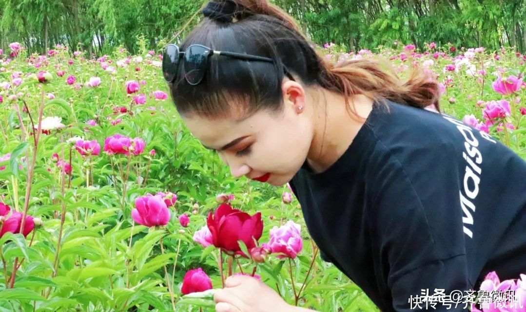 芍药|六月至，“花相”芍药笑迎宾