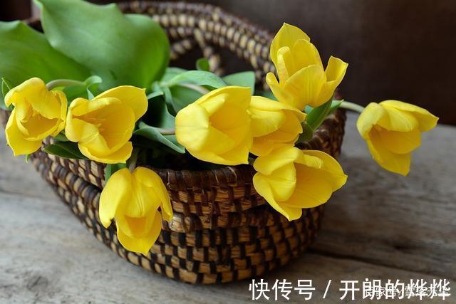 小兰|你之所以活得累，其实是“比”出来的