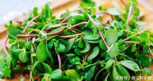 放入|当你遇到这道菜时,不要手软,一次性储存20斤,放入冰箱冷冻