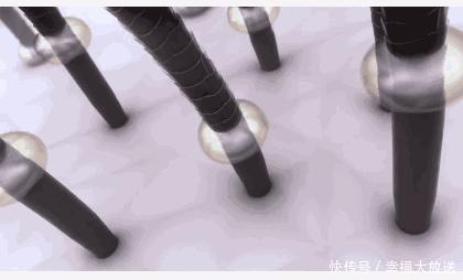 发型|别再“披头散发”了!尤其是有这3个特点的女生