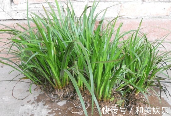 克星|“它”是嗓子干、痒、肿、痛的克星,耐心读完,享用一生