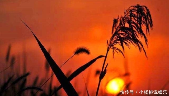 鬼谷子忠告:与人交往,尽量不说三种话,情商越高的人越有体会