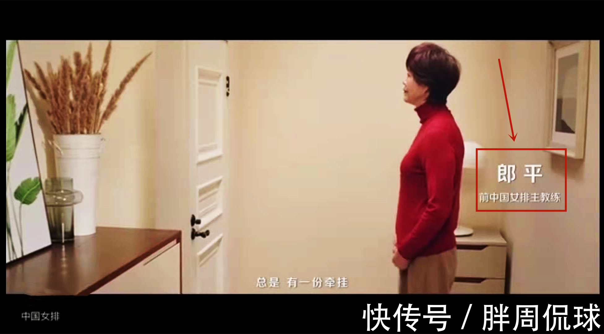 奥运|中国女排官宣,郎平最新身份曝光,张常宁李盈莹终于等到了