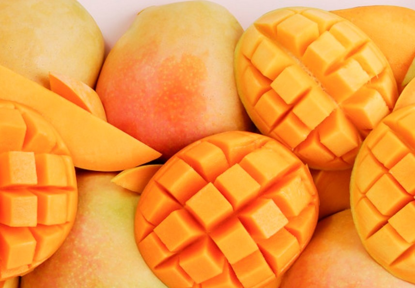 芒果肉质细腻,气味香甜,重视秋肥的施用,种出优质美味的芒果来