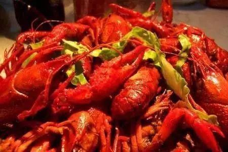 海螺|茄子不能這樣吃,否則后果很嚴重一定要告訴身邊的朋友……