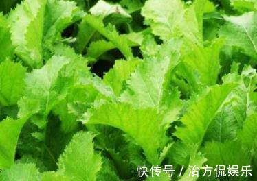 女人|聪明女人喜欢吃的蔬菜，温养子宫，提亮肤色！