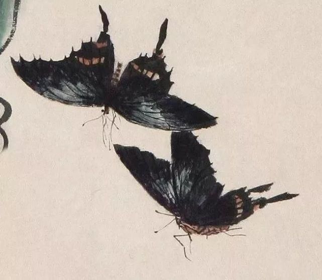 俞致贞|收藏!国画蝴蝶纸上来感觉蝴蝶在动,太逼真了!